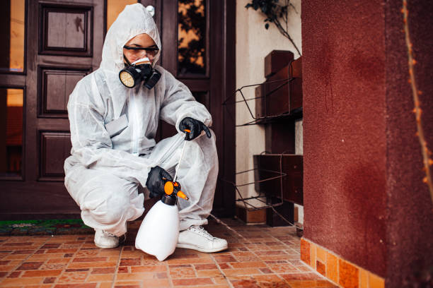 Reliable Cockroach Control contractor in Moss Point, MS by Nex Pest Control