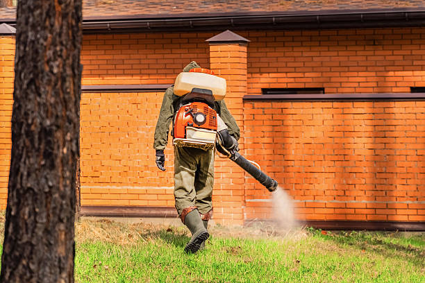 Top rated local Cockroach Control specialists in Moss Point, MS